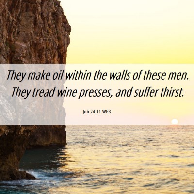 Picture 06 - Job 24:11 WEB - They make oil within the walls of these men. They - Bible Verse Picture