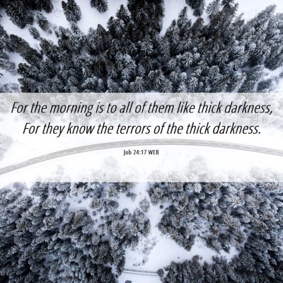 Picture 06 - Job 24:17 WEB - For the morning is to all of them like thick - Bible Verse Picture