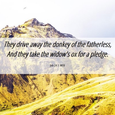 Picture 06 - Job 24:3 WEB - They drive away the donkey of the fatherless, And - Bible Verse Picture