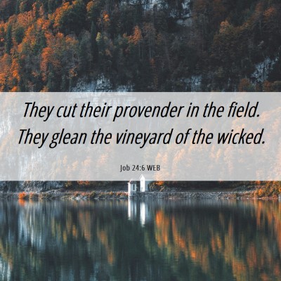 Picture 06 - Job 24:6 WEB - They cut their provender in the field. They glean - Bible Verse Picture