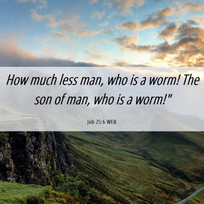 Picture 06 - Job 25:6 WEB - How much less man, who is a worm! The son of man, - Bible Verse Picture