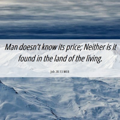 Picture 06 - Job 28:13 WEB - Man doesn't know its price; Neither is it found - Bible Verse Picture