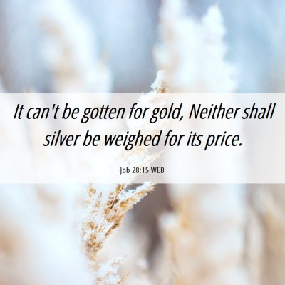 Picture 06 - Job 28:15 WEB - It can't be gotten for gold, Neither shall silver - Bible Verse Picture