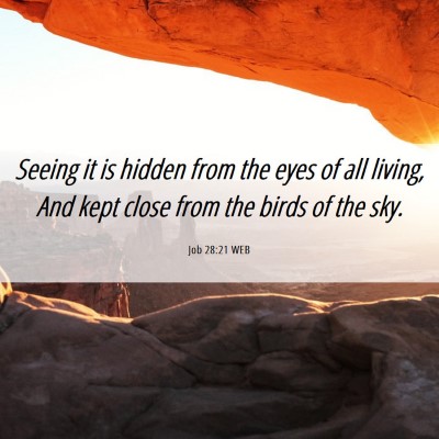 Picture 06 - Job 28:21 WEB - Seeing it is hidden from the eyes of all living, - Bible Verse Picture