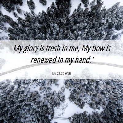 Picture 06 - Job 29:20 WEB - My glory is fresh in me, My bow is renewed in my - Bible Verse Picture