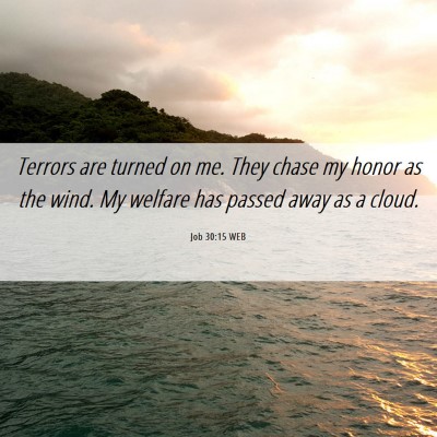 Picture 06 - Job 30:15 WEB - Terrors are turned on me. They chase my honor as - Bible Verse Picture