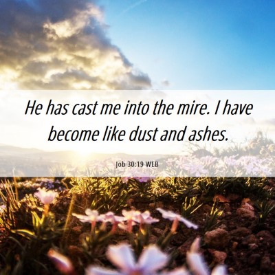 Picture 06 - Job 30:19 WEB - He has cast me into the mire. I have become like - Bible Verse Picture
