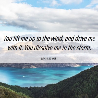 Picture 06 - Job 30:22 WEB - You lift me up to the wind, and drive me with it. - Bible Verse Picture