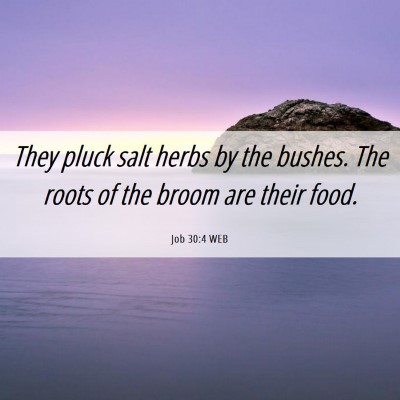 Picture 06 - Job 30:4 WEB - They pluck salt herbs by the bushes. The roots of - Bible Verse Picture