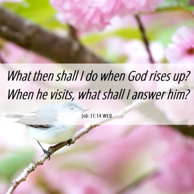 Picture 06 - Job 31:14 WEB - What then shall I do when God rises up? When he - Bible Verse Picture