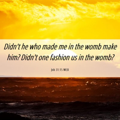 Picture 06 - Job 31:15 WEB - Didn't he who made me in the womb make him? - Bible Verse Picture