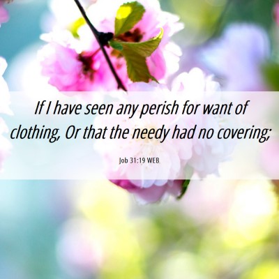 Picture 06 - Job 31:19 WEB - If I have seen any perish for want of clothing, - Bible Verse Picture