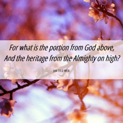 Picture 06 - Job 31:2 WEB - For what is the portion from God above, And the - Bible Verse Picture