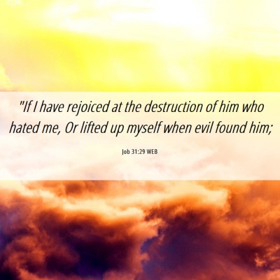 Picture 06 - Job 31:29 WEB - 
