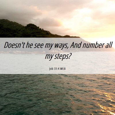Picture 06 - Job 31:4 WEB - Doesn't he see my ways, And number all my - Bible Verse Picture