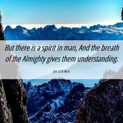 Picture 06 - Job 32:8 WEB - But there is a spirit in man, And the breath of - Bible Verse Picture