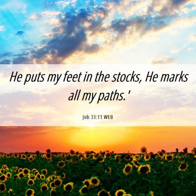 Picture 06 - Job 33:11 WEB - He puts my feet in the stocks, He marks all my - Bible Verse Picture