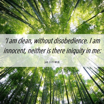 Picture 06 - Job 33:9 WEB - 'I am clean, without disobedience. I am innocent, - Bible Verse Picture
