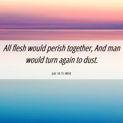 Picture 06 - Job 34:15 WEB - All flesh would perish together, And man would - Bible Verse Picture