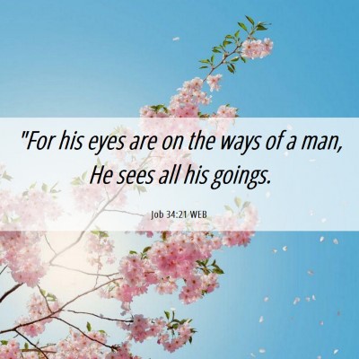 Picture 06 - Job 34:21 WEB - 