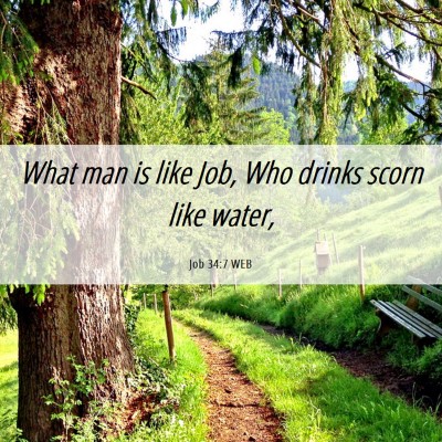 Picture 06 - Job 34:7 WEB - What man is like Job, Who drinks scorn like - Bible Verse Picture