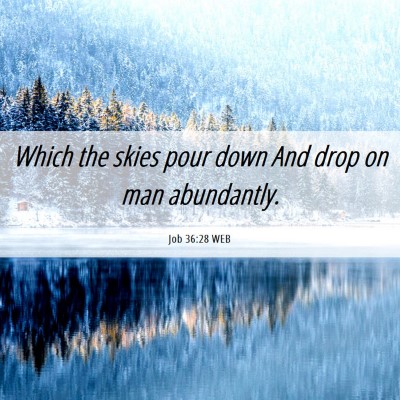 Picture 06 - Job 36:28 WEB - Which the skies pour down And drop on man - Bible Verse Picture