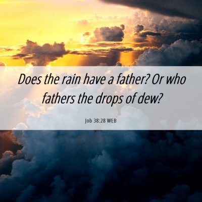 Picture 06 - Job 38:28 WEB - Does the rain have a father? Or who fathers the - Bible Verse Picture