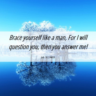 Picture 06 - Job 38:3 WEB - Brace yourself like a man, For I will question - Bible Verse Picture