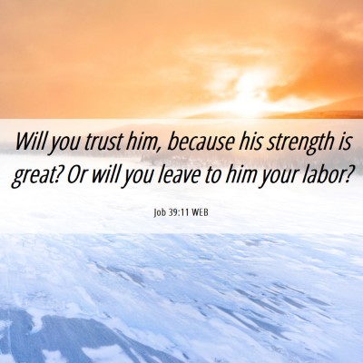 Picture 06 - Job 39:11 WEB - Will you trust him, because his strength is - Bible Verse Picture