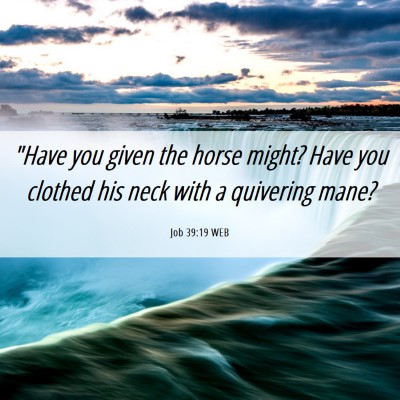 Picture 06 - Job 39:19 WEB - 