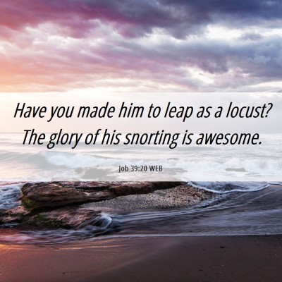 Picture 06 - Job 39:20 WEB - Have you made him to leap as a locust? The glory - Bible Verse Picture