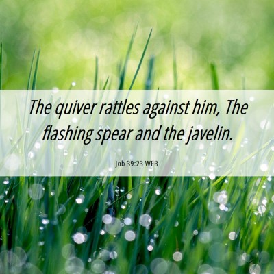 Picture 06 - Job 39:23 WEB - The quiver rattles against him, The flashing - Bible Verse Picture