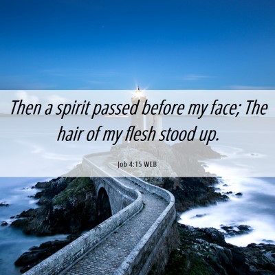 Picture 06 - Job 4:15 WEB - Then a spirit passed before my face; The hair of - Bible Verse Picture