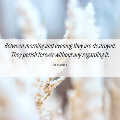 Picture 06 - Job 4:20 WEB - Between morning and evening they are destroyed. - Bible Verse Picture