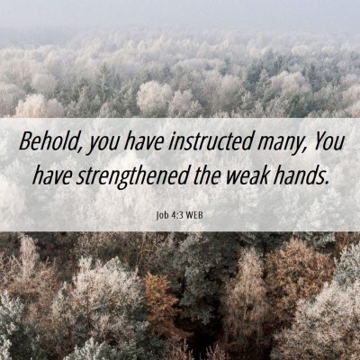 Picture 06 - Job 4:3 WEB - Behold, you have instructed many, You have - Bible Verse Picture