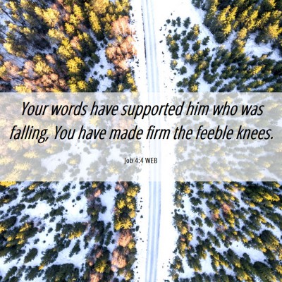 Picture 06 - Job 4:4 WEB - Your words have supported him who was falling, - Bible Verse Picture