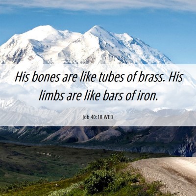 Picture 06 - Job 40:18 WEB - His bones are like tubes of brass. His limbs are - Bible Verse Picture