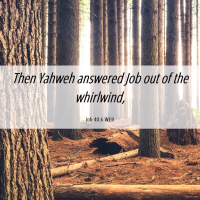 Picture 06 - Job 40:6 WEB - Then Yahweh answered Job out of the - Bible Verse Picture