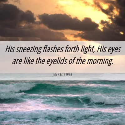 Picture 06 - Job 41:18 WEB - His sneezing flashes forth light, His eyes are - Bible Verse Picture