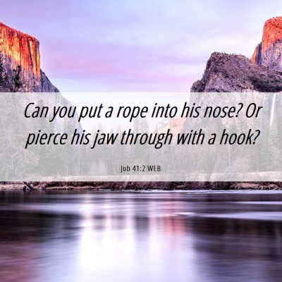 Picture 06 - Job 41:2 WEB - Can you put a rope into his nose? Or pierce his - Bible Verse Picture
