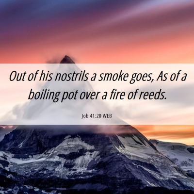Picture 06 - Job 41:20 WEB - Out of his nostrils a smoke goes, As of a boiling - Bible Verse Picture