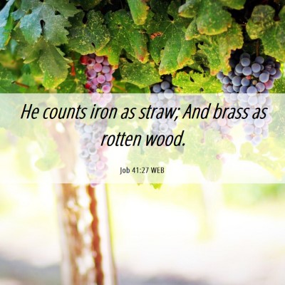 Picture 06 - Job 41:27 WEB - He counts iron as straw; And brass as rotten - Bible Verse Picture