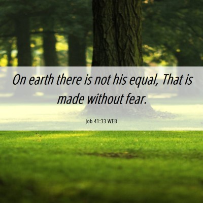 Picture 06 - Job 41:33 WEB - On earth there is not his equal, That is made - Bible Verse Picture
