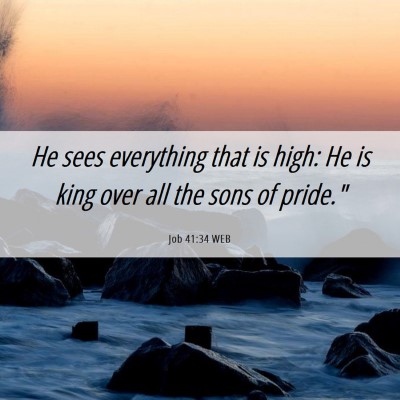 Picture 06 - Job 41:34 WEB - He sees everything that is high: He is king over - Bible Verse Picture