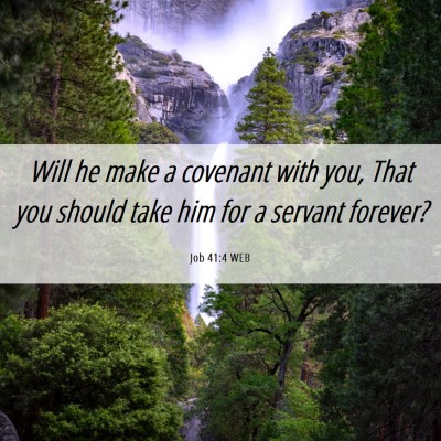Picture 06 - Job 41:4 WEB - Will he make a covenant with you, That you should - Bible Verse Picture
