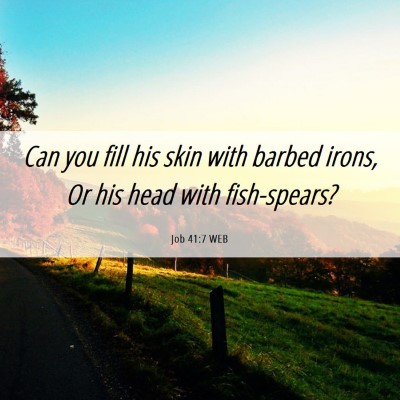 Picture 06 - Job 41:7 WEB - Can you fill his skin with barbed irons, Or his - Bible Verse Picture