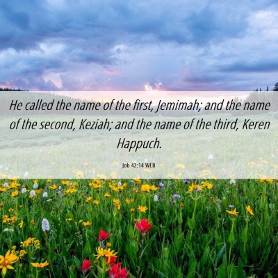 Picture 06 - Job 42:14 WEB - He called the name of the first, Jemimah; and the - Bible Verse Picture