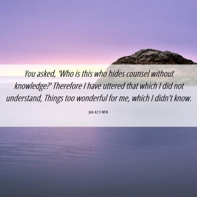 Picture 06 - Job 42:3 WEB - You asked, 'Who is this who hides counsel without - Bible Verse Picture