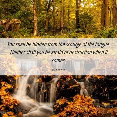 Picture 06 - Job 5:21 WEB - You shall be hidden from the scourge of the - Bible Verse Picture