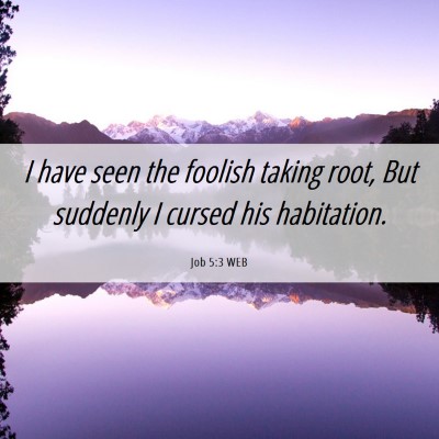 Picture 06 - Job 5:3 WEB - I have seen the foolish taking root, But suddenly - Bible Verse Picture
